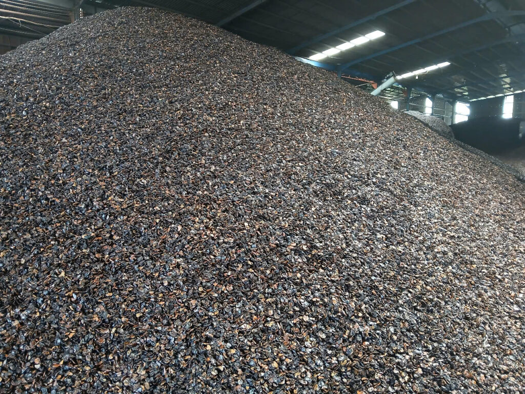 Z6801938836788_11e36b560a5510bc0ac300d0f7738b8a