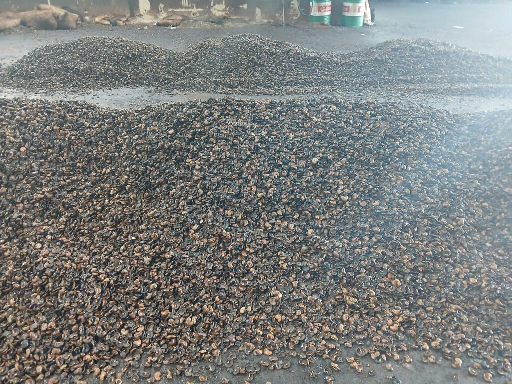 Z6801939143067_a54d40224f64c067e733af4d3afd7beb